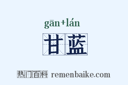 甘蓝是什么意思的图片